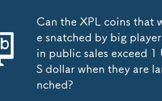 大規模なプレーヤーによって公開されているXPLコインは、発売時に1米ドルを超えることができますか?