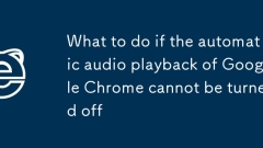 What to do if the automatic audio playback of Google Chrome cannot be turned off