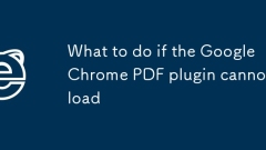 What to do if the PDF plugin of Google Chrome cannot load
