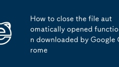 How to close the file automatically opened function downloaded by Google Chrome