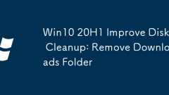 Win10 20H1 Improve Disk Cleanup: Remove Downloads Folder
