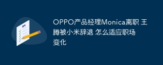 OPPO产品经理Monica离职 王腾被小米辞退 怎么适应职场变化