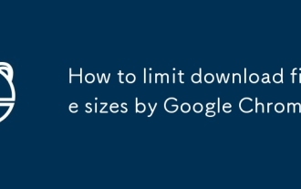How to limit download file sizes by Google Chrome
