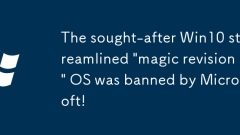 The sought-after Win10 streamlined 'magic revision' OS was banned by Microsoft!
