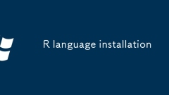 R language installation
