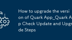 Cara Meningkatkan Versi Kemas Kini Periksa Aplikasi App_Quark dan Meningkatkan Langkah