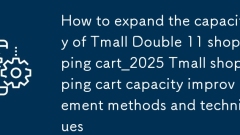 Cara memperluaskan kapasiti Tmall Double 11 Shopping Cart_2025 Tmall Shopping Cart Kaedah Peningkatan Kapasiti dan Teknik