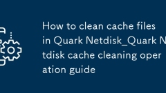 Cara Membersihkan Fail Cache Di Quark Netdisk_Quark NetDisk Cache Cleaning Operasi Panduan