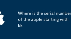 Où est le numéro de série de la pomme en commen?ant par kk