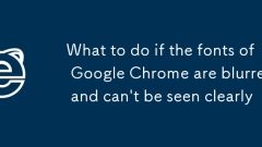 What to do if the fonts of Google Chrome are blurred and can't be seen clearly