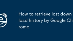 How to retrieve lost download history by Google Chrome