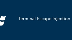 Terminal Escape Injection