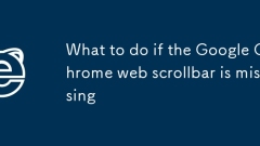 What to do if the Google Chrome web scrollbar is gone