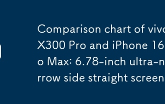 Carta Perbandingan Vivo X300 Pro dan iPhone 16 Pro Max: 6.78 inci Skrin Side Side