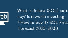 Apakah mata wang solana (sol)? Adakah ia layak melabur? Bagaimana untuk membelinya? Ramalan Harga Sol 2025-2030