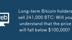 Pemegang bitcoin jangka panjang menjual 241,000 BTC: Adakah anda akan faham bahawa harga akan jatuh di bawah $ 100,000?