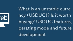 What is an unstable currency (USDUC)? Is it worth buying? USDUC features, operating mode and future development