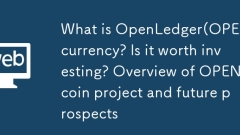 What is OpenLedger(OPEN) currency? Is it worth investing? Overview of OPEN coin project and future prospects