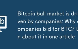 Bitcoin Bull Market은 회사에 의해 주도됩니다. 회사는 왜 BTC에 입찰합니까? 하나의 기사에서 그것에 대해 배우십시오
