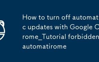 Cara Mematikan Kemas Kini Automatik dengan Google Chrome_tutorial Kemas kini automatik yang dilarang dengan Google Chrome