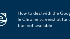 How to deal with the Google Chrome screenshot function not available