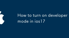 How to turn on developer mode in ios17