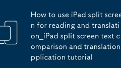How to use iPad split screen for reading and translation_iPad split screen text comparison and translation application tutorial