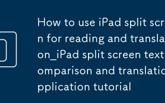 Cara Menggunakan Skrin Split iPad Untuk Membaca dan Terjemahan_IPAD Perbandingan teks skrin Split dan Tutorial Aplikasi Terjemahan