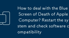How to deal with the Blue Screen of Death of Apple Computer? Restart the system and check software compatibility