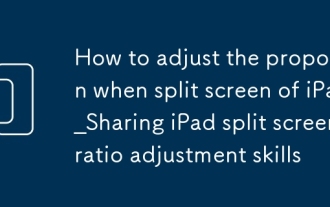 iPad_sharing iPad 분할 스크린 비율 조정 기술의 분할 화면시 비율을 조정하는 방법
