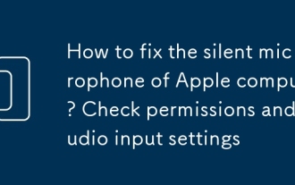 Wie repariere ich das stille Mikrofon des Apple -Computers? Überprüfen Sie Berechtigungen und Audioeingangseinstellungen