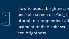 So passen Sie die Helligkeit an, wenn der aufgeteilte Bildschirm des iPad_tutorial zur unabh?ngigen Einstellung der Helligkeit des iPad -Split -Bildschirms