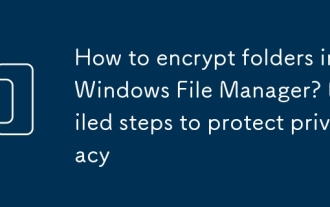 Wie verschlüsseln Sie Ordner im Windows -Dateimanager? Detaillierte Schritte zum Schutz der Privatsphäre