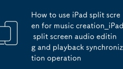 Verwenden Sie den iPad -Split -Bildschirm für Musik creation_ipad Split Bildschirm Audiobearbeitung und Wiedergabe -Synchronisationsoperation