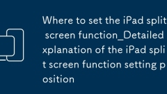 Wenn Sie das iPad -Split -Bildschirm festlegen k?nnen.