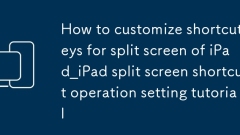Anpassung von Verknüpfungsschlüssel für den Split -Bildschirm von iPad_ipad Split Screen -Verknüpfungsbetriebseinstellung Tutorial