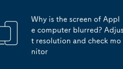 Warum ist der Bildschirm des Apple -Computers verschwommen? Passen Sie die Aufl?sung an und überprüfen Sie den Monitor