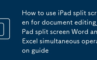 Verwenden Sie den iPad -Split -Bildschirm für Dokumente bearbeiten_pipad aufgeteiltes Bildschirm Wort und Excel -Simultaneous -Operation -Handbuch
