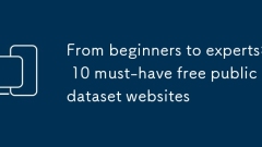 Von Anf?ngern bis zu Experten: 10 Must-Have-kostenlose ?ffentliche Datensatzwebsites