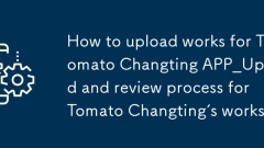 So hochladen Sie Funktionen für Tomatenver?nderungen App_Upload- und überprüfungsprozess für die Werke von Tomatenver?nderungen