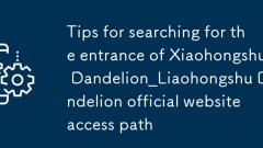 Xiaohongshu ??? ?? ?? ? ?? ? ??? ??? ??