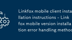Linkfox mobile client installation instructions - Linkfox mobile version installation error handling method
