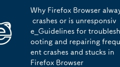 Warum Firefox -Browser immer abstürzt oder nicht reagiert.
