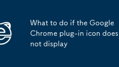 Que faire si l'ic?ne du plug-in Google Chrome ne s'affiche pas