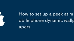 Cara Menyediakan Pengintip di Telefon bimbit Dinamik Wallpaper