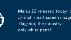 Meizu 22? ?? ??????? : 6.3 ?? ??? ??? ??? ????, ?? ??? ??? ??