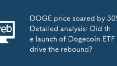 Doge Price a grimpé en flèche par une analyse détaillée de 30%: le lancement de Dogecoin ETF a-t-il conduit le rebond?