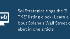Sol Strategies rings the 'STKE' listing clock: Learn about Solana's Wall Street debut in one article