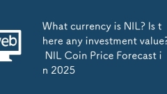 What currency is NIL? Is there any investment value? NIL Coin Price Forecast in 2025
