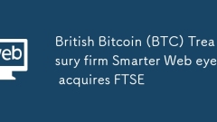 British Bitcoin (BTC) Treasury firm Smarter Web eyes acquires FTSE